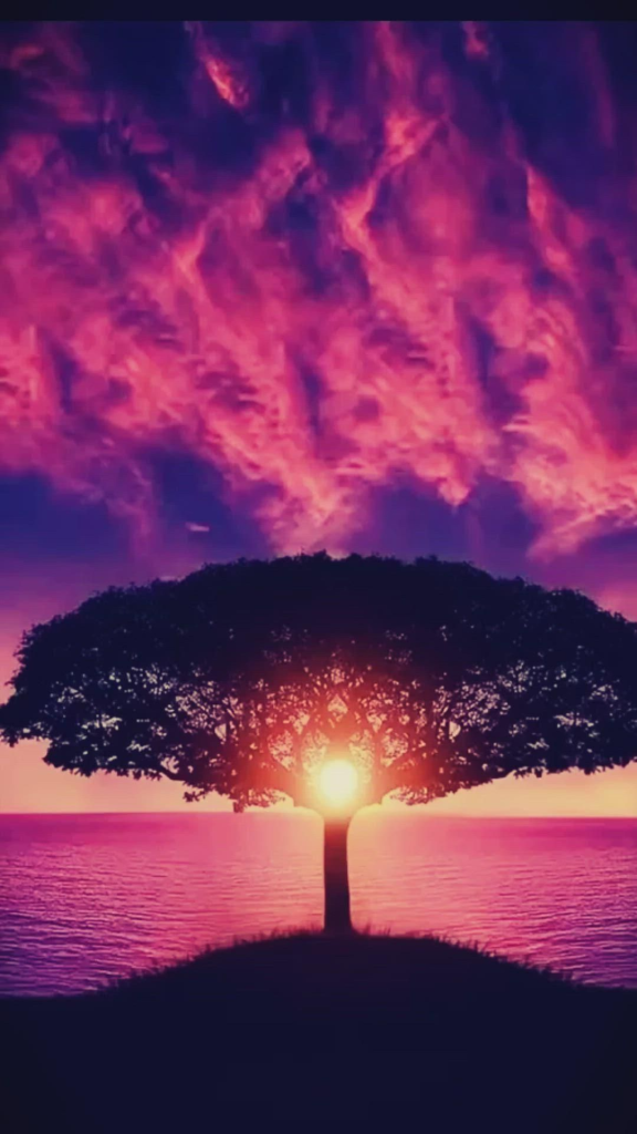 Nature & Landscape Wallpapers (13)