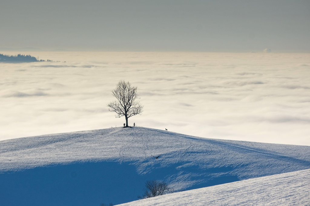 Nature & Landscape Wallpapers - 2025-02-27T012018.946