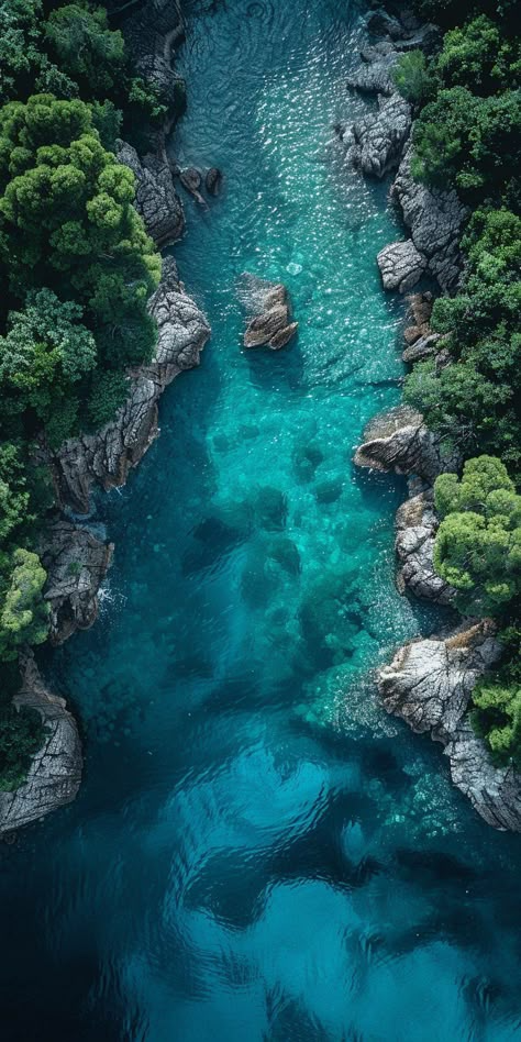 Nature & Landscape Wallpapers (24)