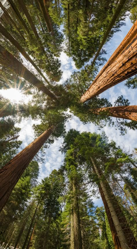 Nature & Landscape Wallpapers (25)