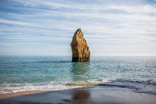 Nature & Landscape Wallpapers (3)