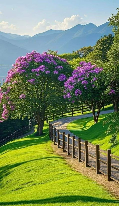 Nature & Landscape Wallpapers (32)