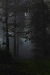 Nature & Landscape Wallpapers (35)