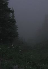 Nature & Landscape Wallpapers (36)