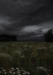 Nature & Landscape Wallpapers (37)