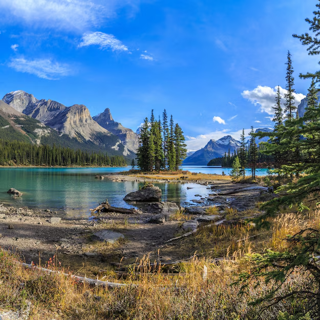 Nature & Landscape Wallpapers (38)