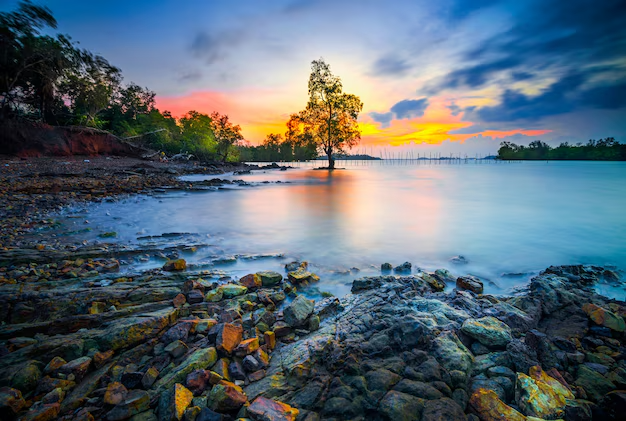 Nature & Landscape Wallpapers (44)