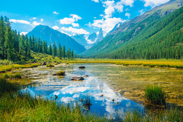 Nature & Landscape Wallpapers (45)