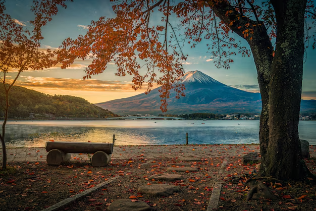 Nature & Landscape Wallpapers (46)