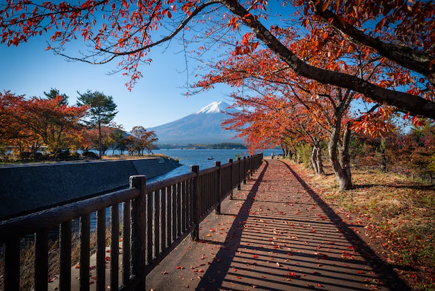 Nature & Landscape Wallpapers (47)