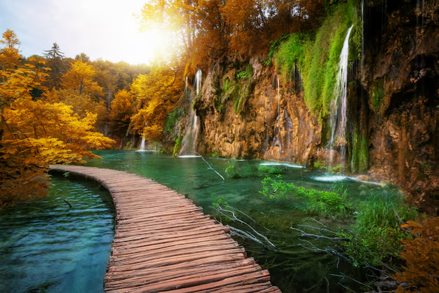 Nature & Landscape Wallpapers (49)