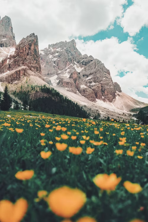 Nature & Landscape Wallpapers (5)