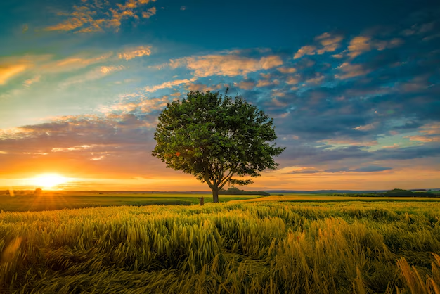 Nature & Landscape Wallpapers (53)