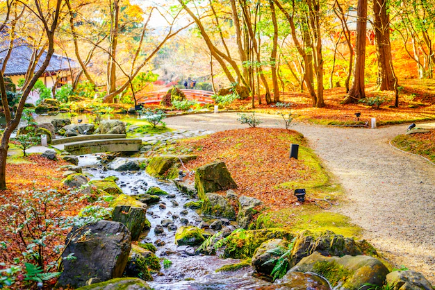 Nature & Landscape Wallpapers (56)