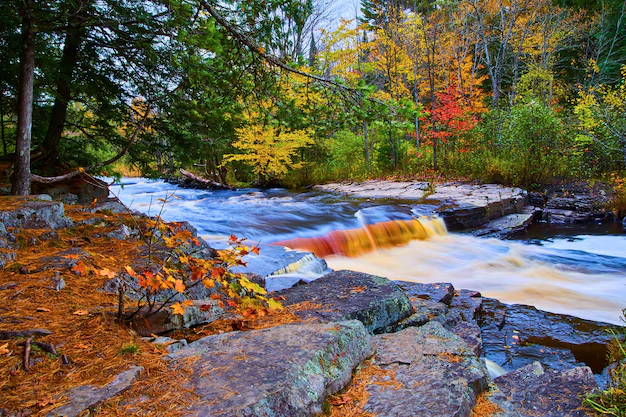 Nature & Landscape Wallpapers (58)