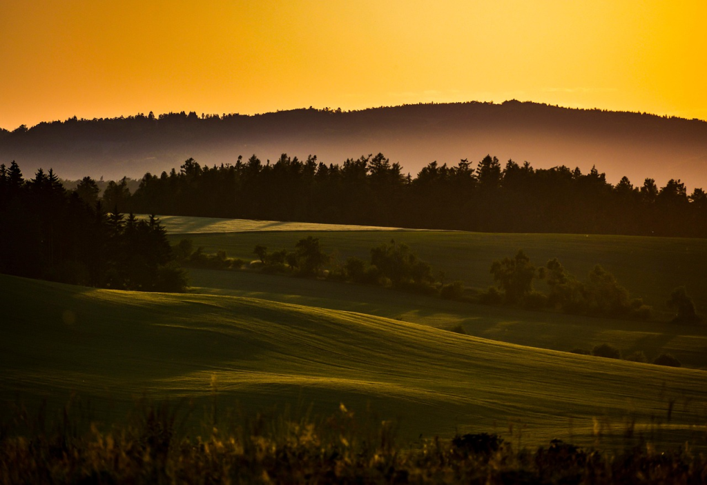 Nature & Landscape Wallpapers (69)