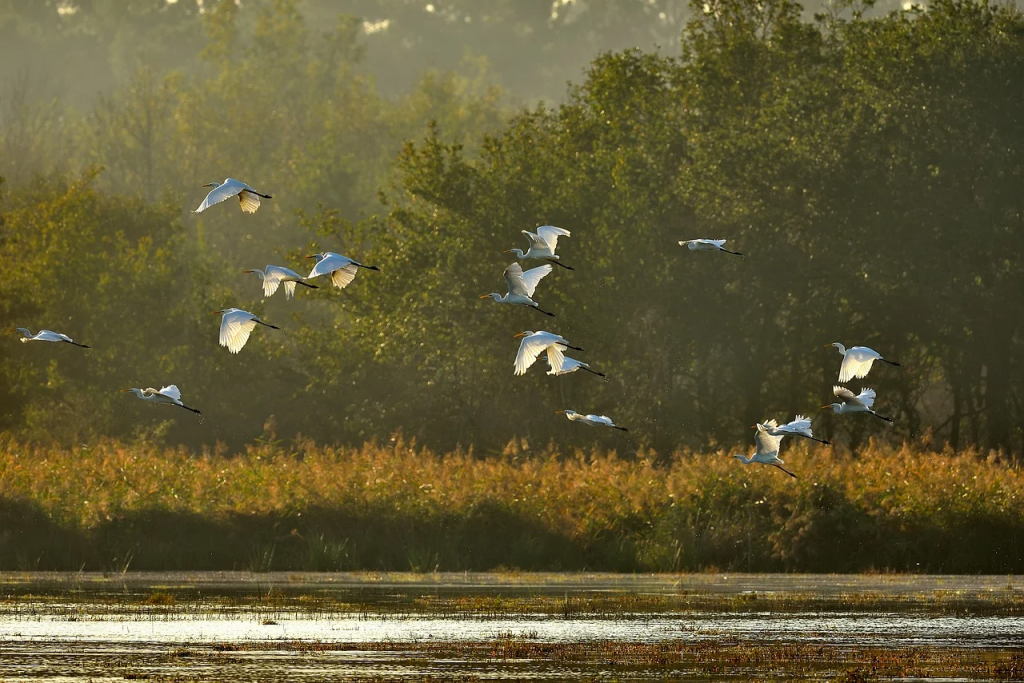 Nature & Landscape Wallpapers (79)