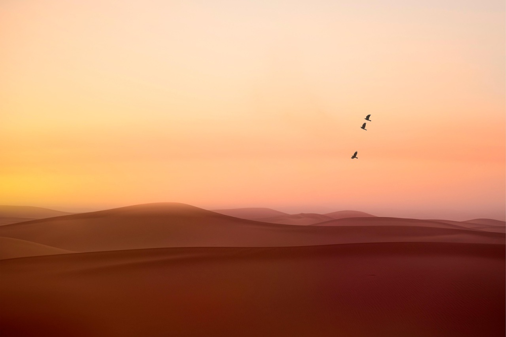 Nature & Landscape Wallpapers (81)