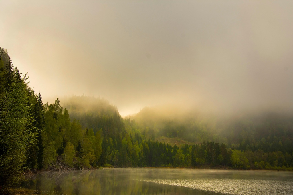 Nature & Landscape Wallpapers (83)