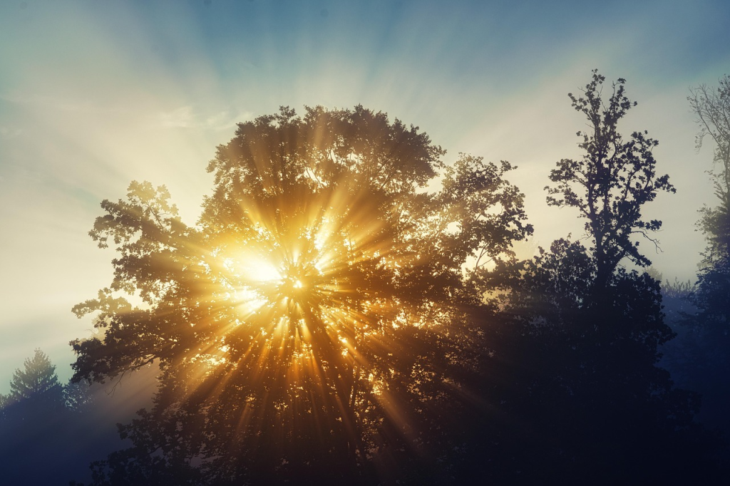Nature & Landscape Wallpapers (84)