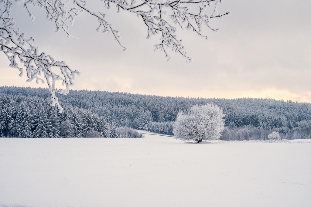 Nature & Landscape Wallpapers (96)