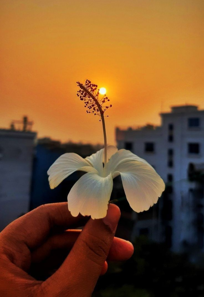 WhatsApp DP (14)