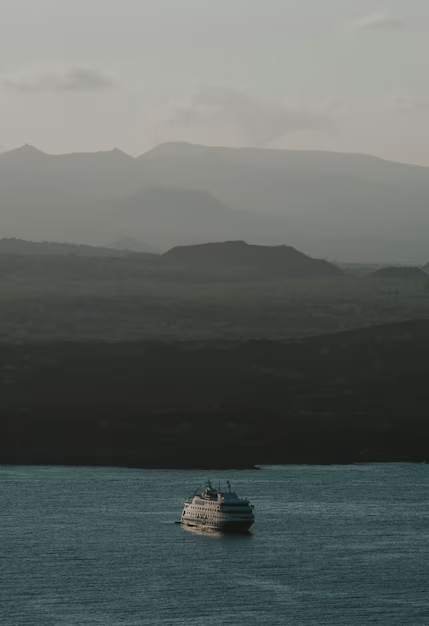 aesthetic phone wallpaper (20)