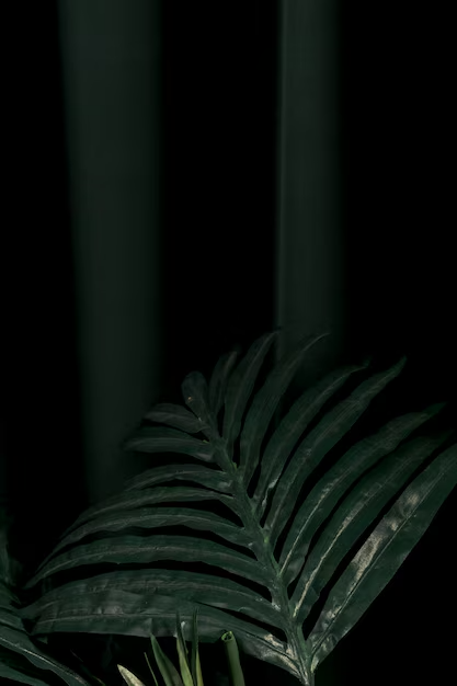 aesthetic phone wallpaper (22)