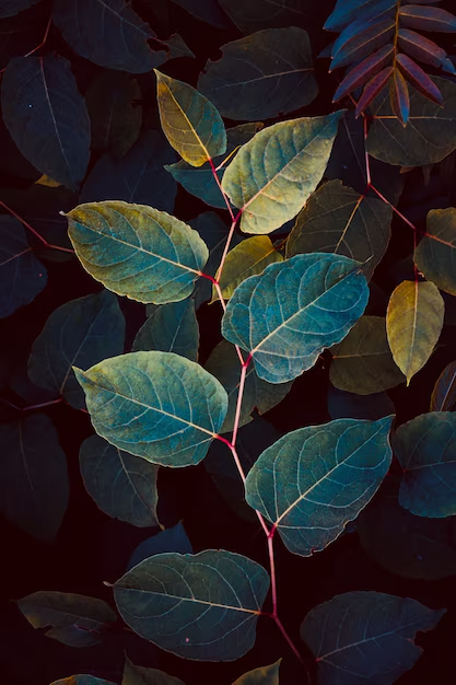 aesthetic phone wallpaper (23)