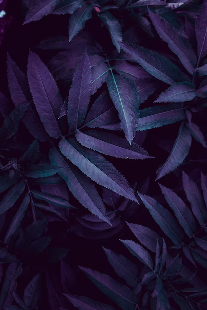 aesthetic phone wallpaper (25)