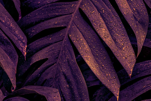 aesthetic phone wallpaper (29)