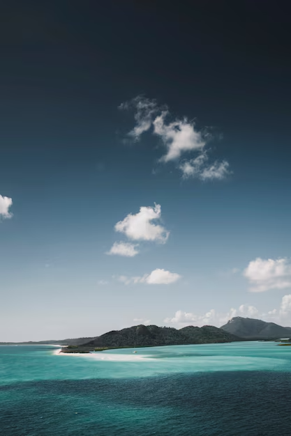 aesthetic phone wallpaper (32)
