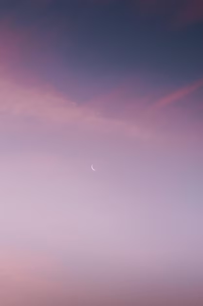 aesthetic phone wallpaper (40)