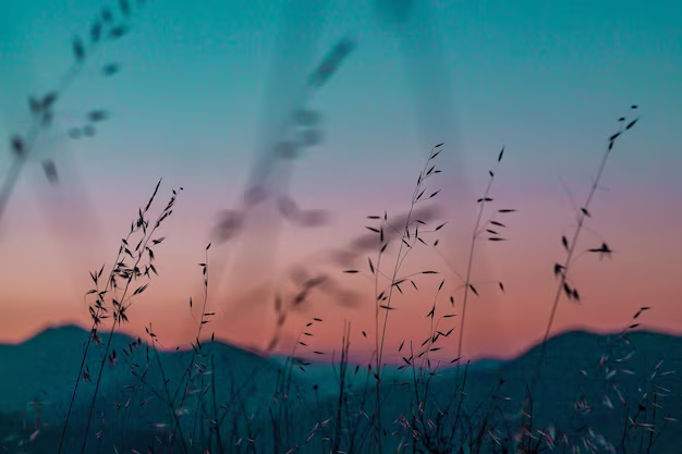 aesthetic phone wallpaper (41)