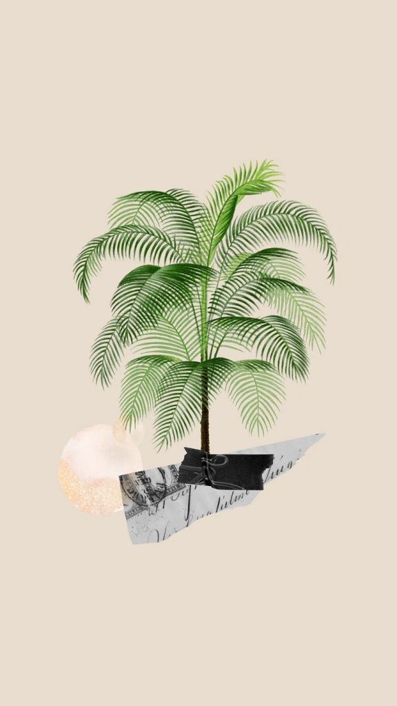aesthetic phone wallpaper (86)