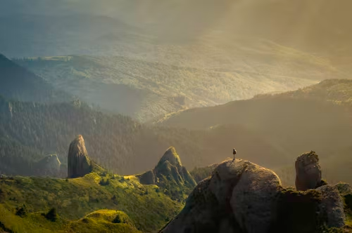Nature & Landscape Wallpapers
