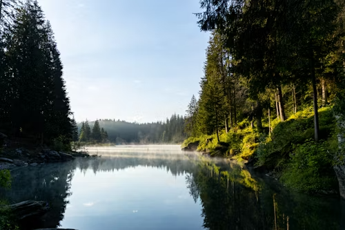 Nature & Landscape Wallpapers