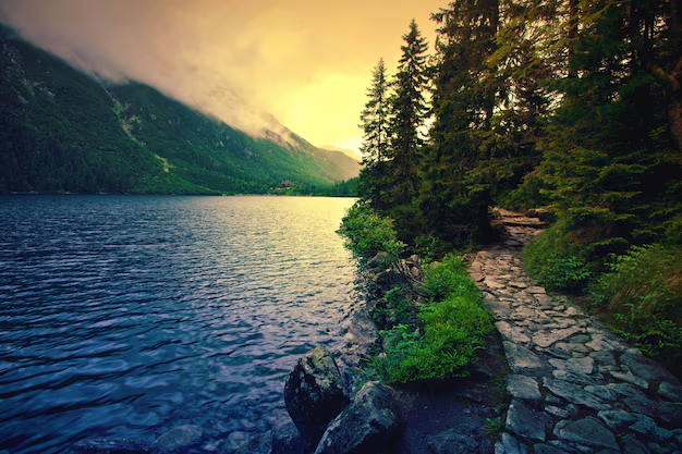 wallpapers - 2025-02-21T231026.594