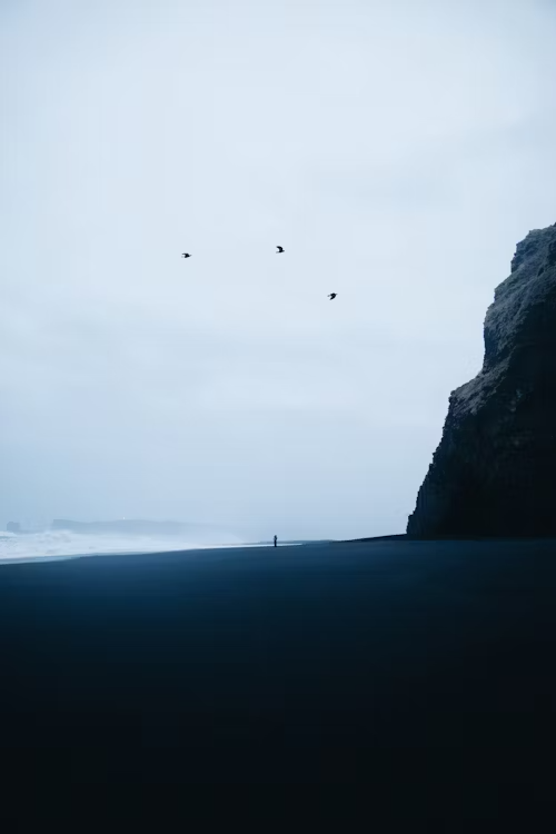 wallpapers (72)
