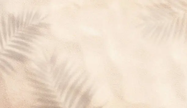 wallpapers (87)