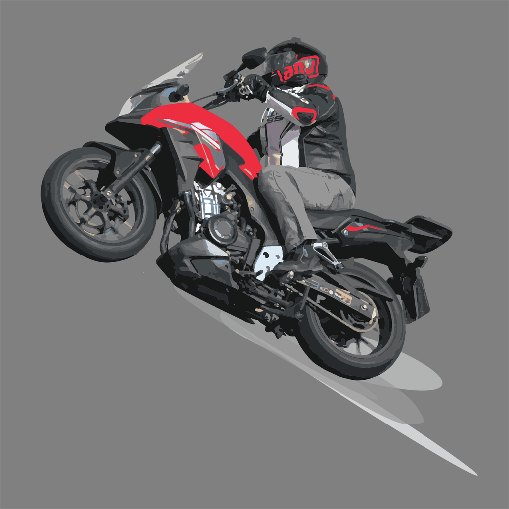 Bike Lovers DP (20)