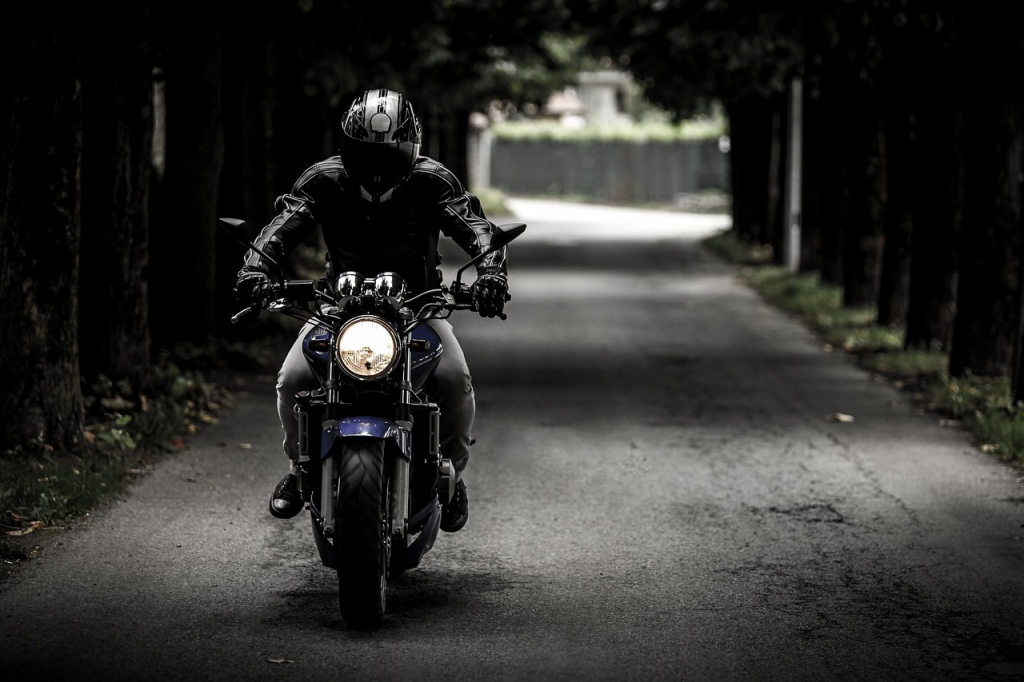 Bike Lovers DP (32)