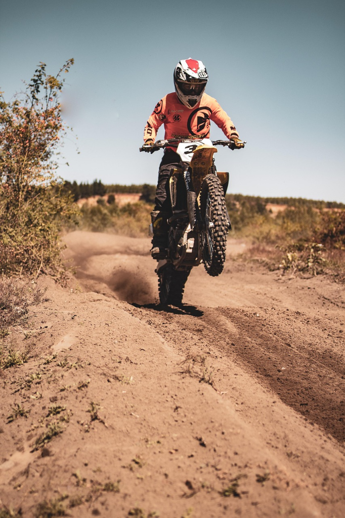 Bike Lovers DP (35)